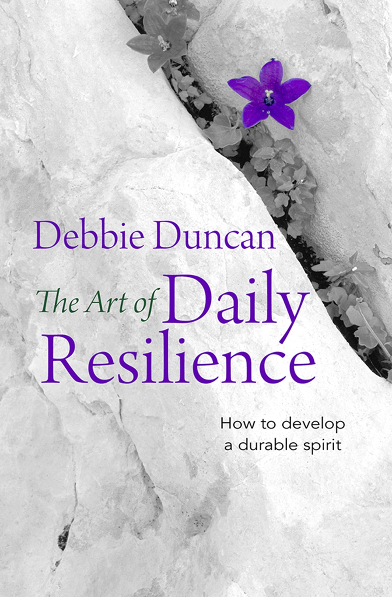 Cover image for The Art of Daily Resilience ISBN 9780857217813